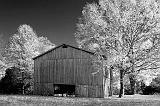Autumn Tobacco Barn_24795 (psIR)